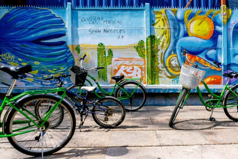 Tour en bicicleta por Santiago