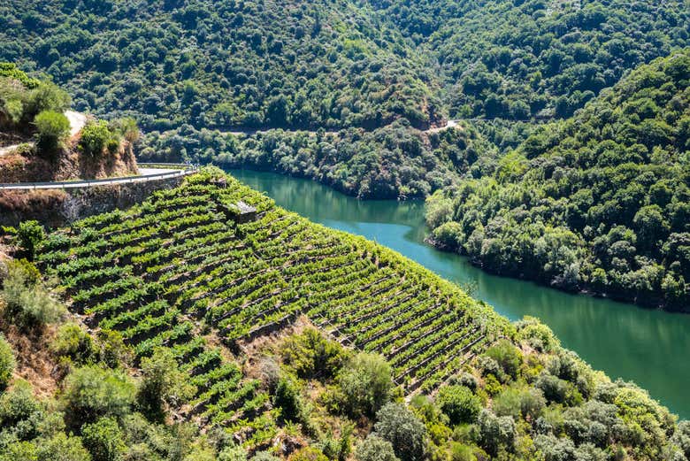 Excursión a la Ribeira Sacra