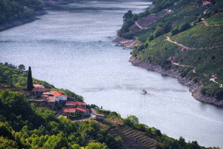 Excursión a la Ribeira Sacra - Galería 2