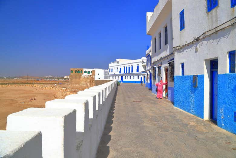 Excursión privada a Asilah