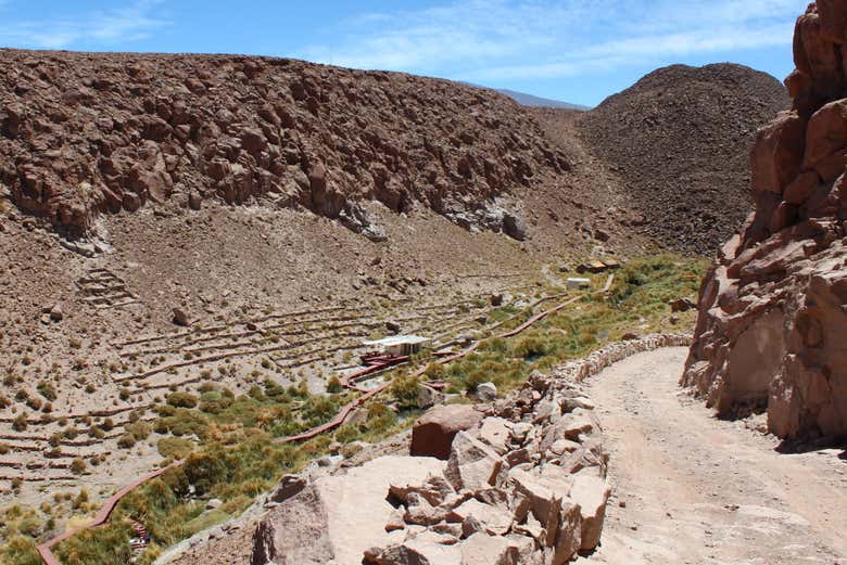 Excursión a las termas de Puritama - Galería 1