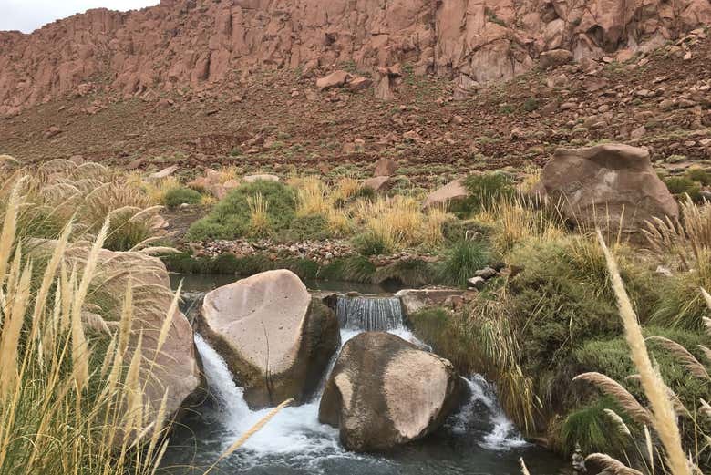 Excursión a las termas de Puritama - Galería 2