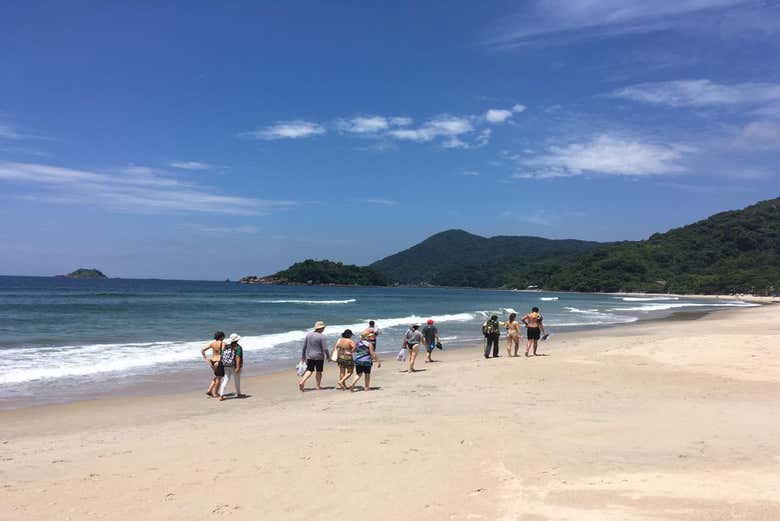 Excursión a la isla de Santo Amaro - Galería 1