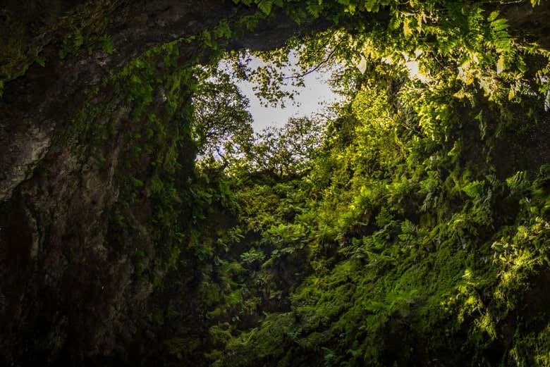 Excursión a las cuevas volcánicas de Terceira