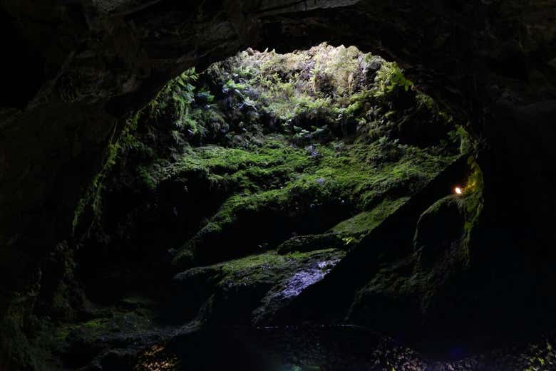 Excursión a las cuevas volcánicas de Terceira - Galería 1
