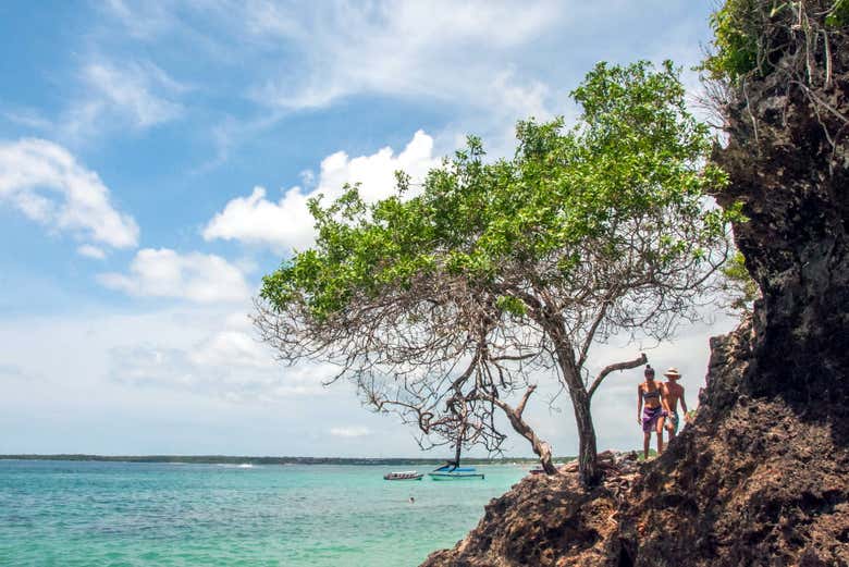 Excursión a Playa Blanca - Galería 2