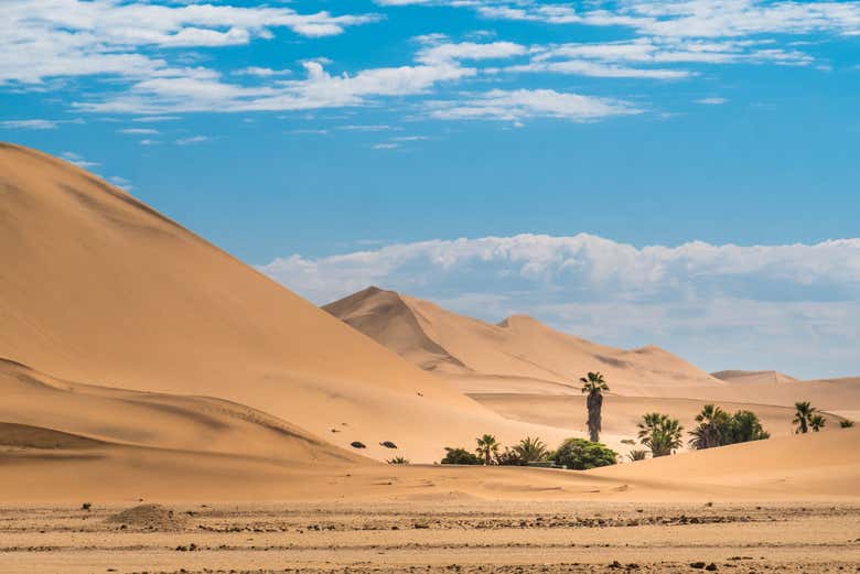 Sandboarding en el desierto del Namib