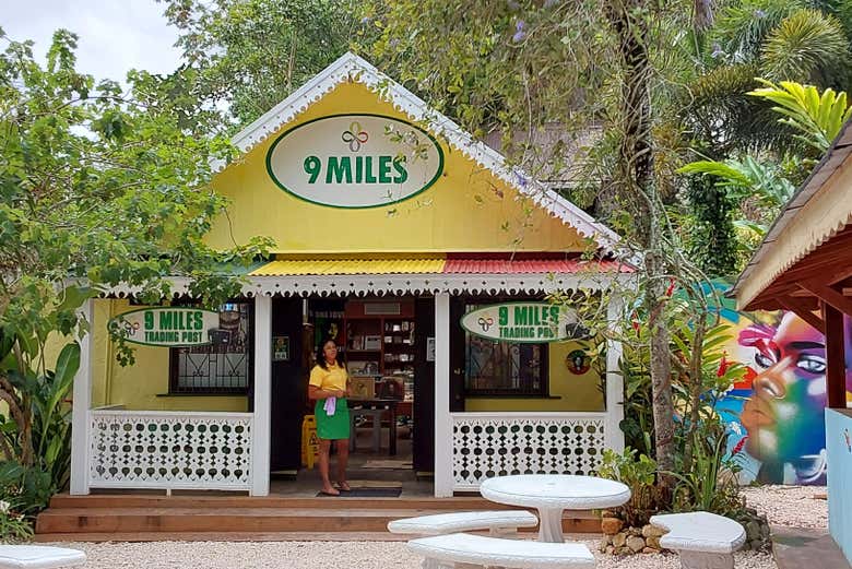 Tour de Bob Marley