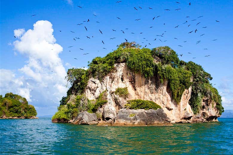 Excursión al Parque Nacional Los Haitises