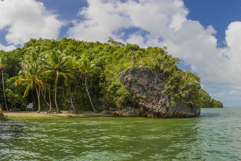 Excursión al Parque Nacional Los Haitises - Galería 2