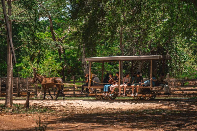 Visita a una hacienda tradicional del Yucatán