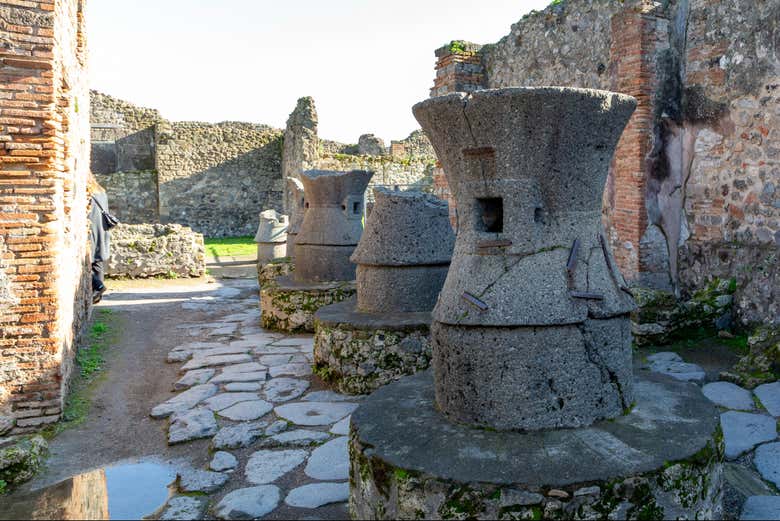 Excursión a Pompeya para cruceros