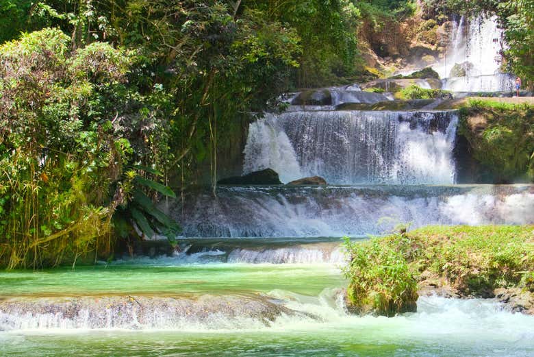 Tour de Bob Marley + Cascadas del río Dunn