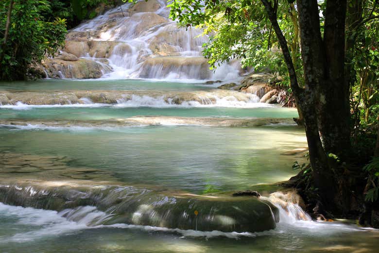 Excursión a Ocho Ríos + Cascadas del río Dunn