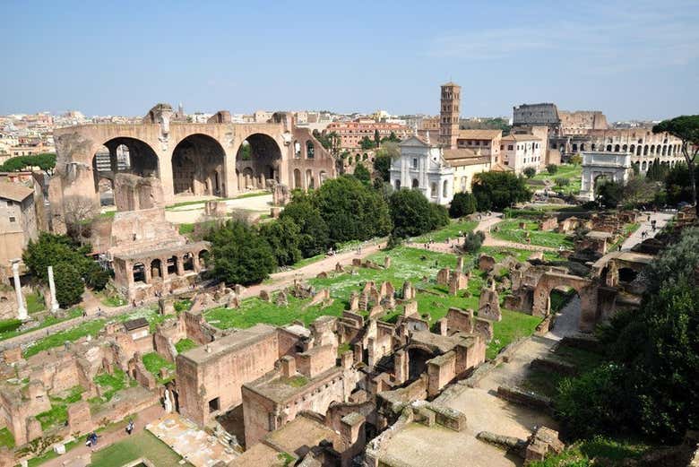 Tour por el Coliseo con acceso a la Arena + Visita al Foro y Palatino
