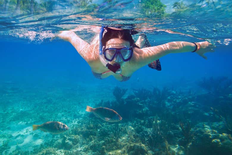 Snorkel en Costa Teguise