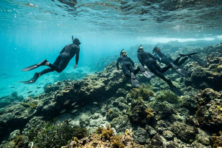 Snorkel en Costa Teguise - Galería 2