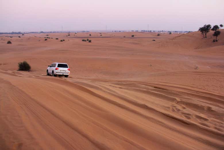 Desert Safari con cena y espectáculo - Galería 1