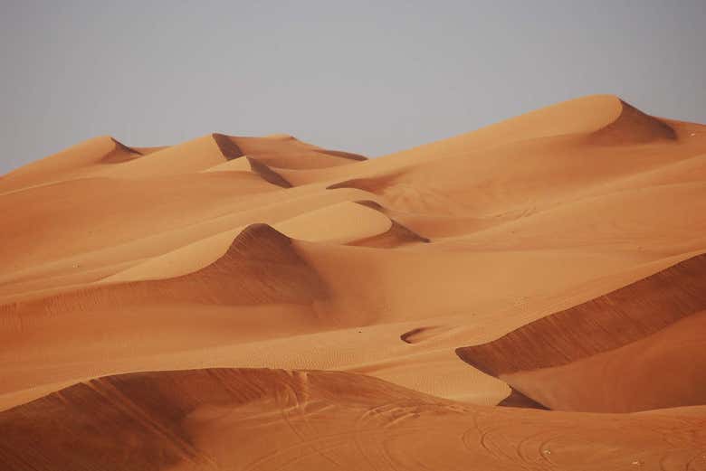 Desert Safari con cena y espectáculo - Galería 2