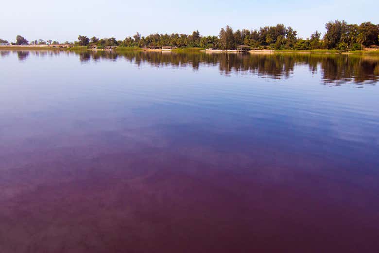 Excursión privada a la Reserva de Bandia y Lago Rosa