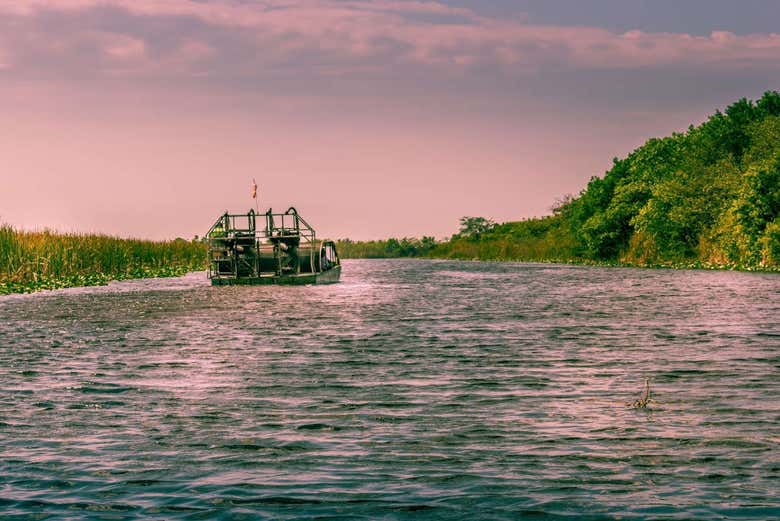 Oferta: Tour de Miami + Everglades + Casas de los famosos