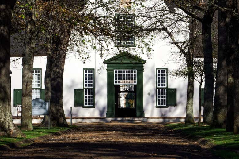 Tour privado de viñedos por Stellenbosch - Galería 2