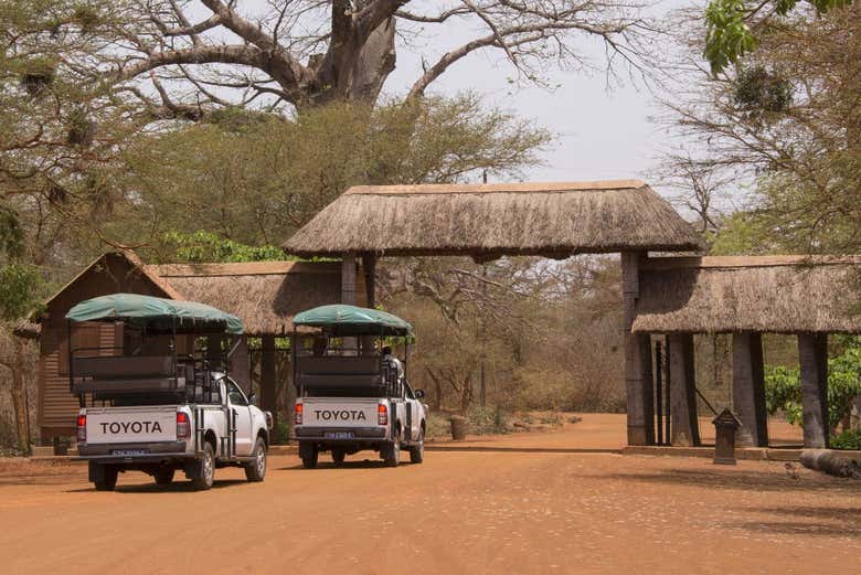 Excursión privada a la Reserva de Bandia
