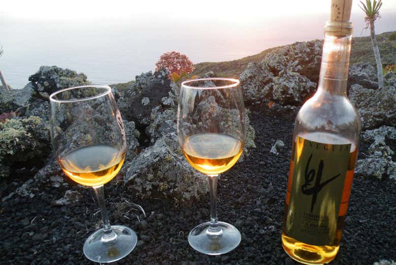 Visita a las bodegas Teneguía