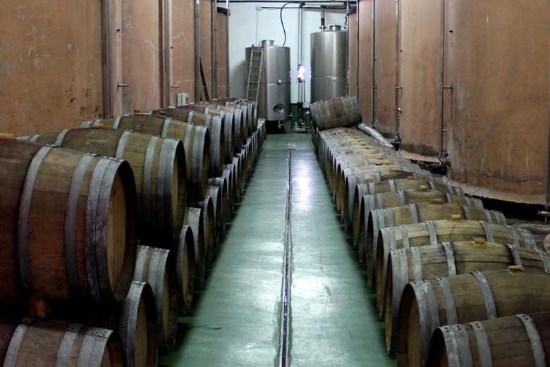 Visita a las bodegas Teneguía