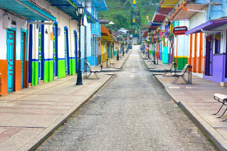 Excursión a Salento y el Valle de Cocora + Paseo a caballo