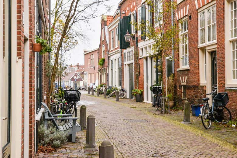 Visita guiada por Haarlem en grupo reducido - Galería 1