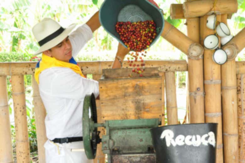 Excursión a la Finca Recuca - Galería 2