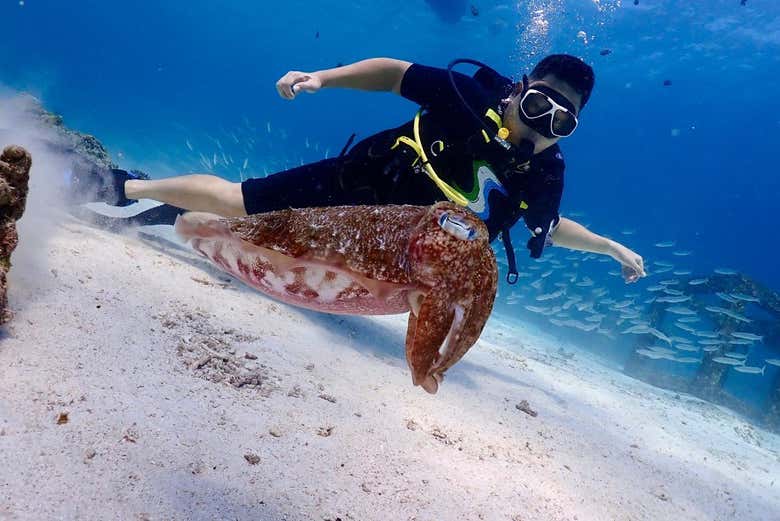 Buceo en la isla de Racha Yai