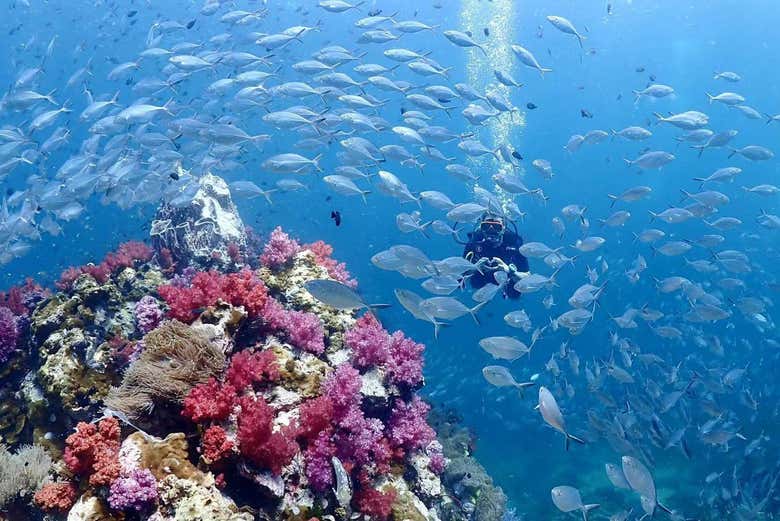 Buceo en la isla de Racha Yai