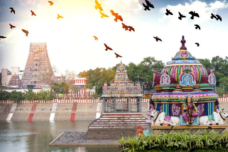 Free tour por Chennai