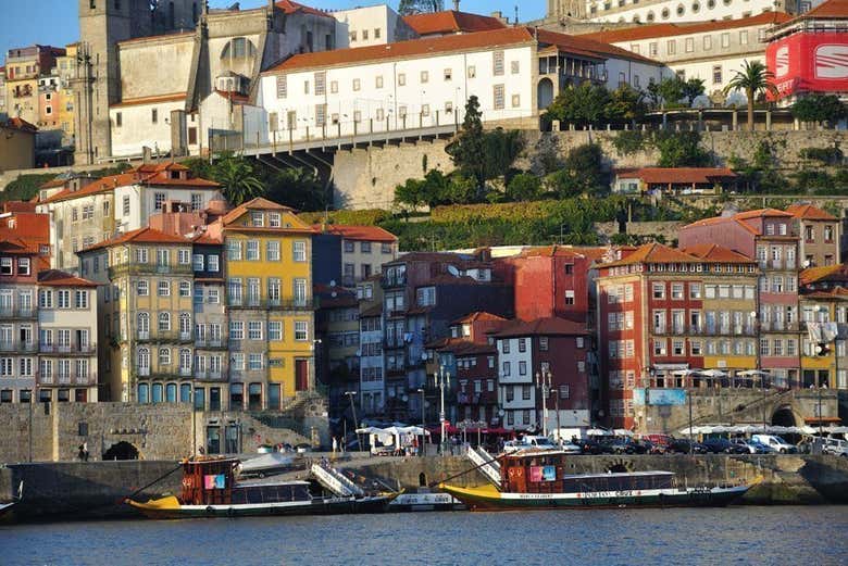 Free tour por Oporto