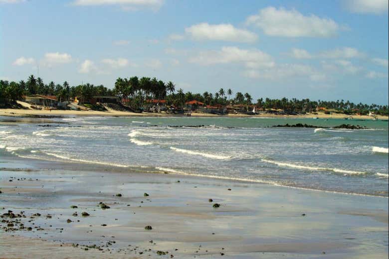 Excursión a Maracajaú + Snorkel en los arrecifes