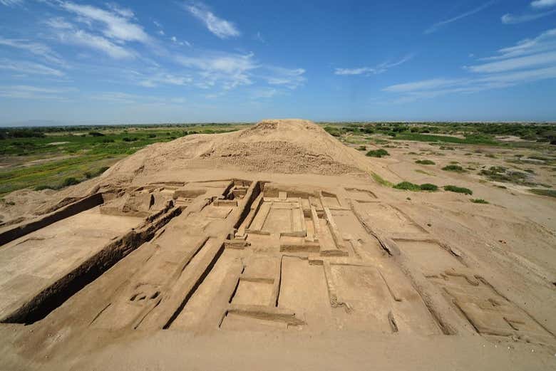Tour privado por el Museo Brüning y Huaca Chotuna
