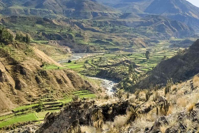 Excursión a Chivay y el Cañón del Colca - Galería 1