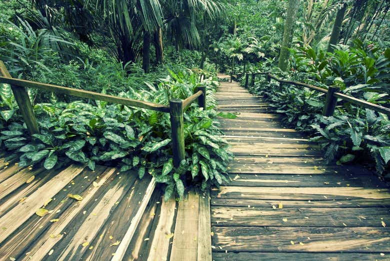 Tour privado por Nadi - Galería 1