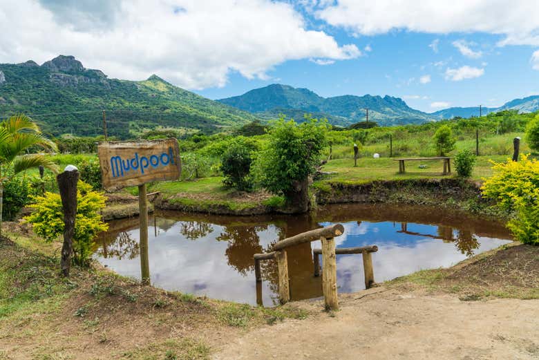 Tour privado por Nadi - Galería 2