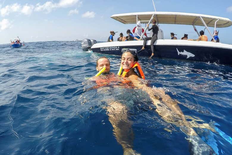 Nado con tiburones ballena
