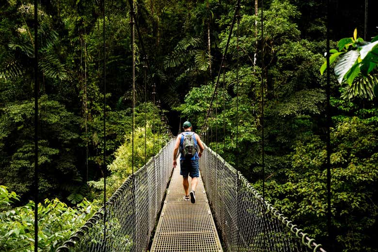 Tour de aventura en el bosque lluvioso