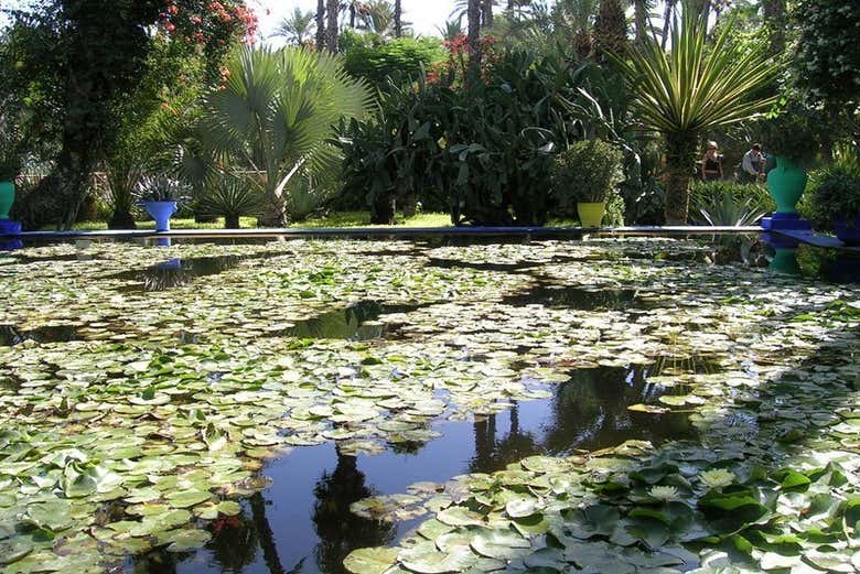 Excursión privada a Marrakech