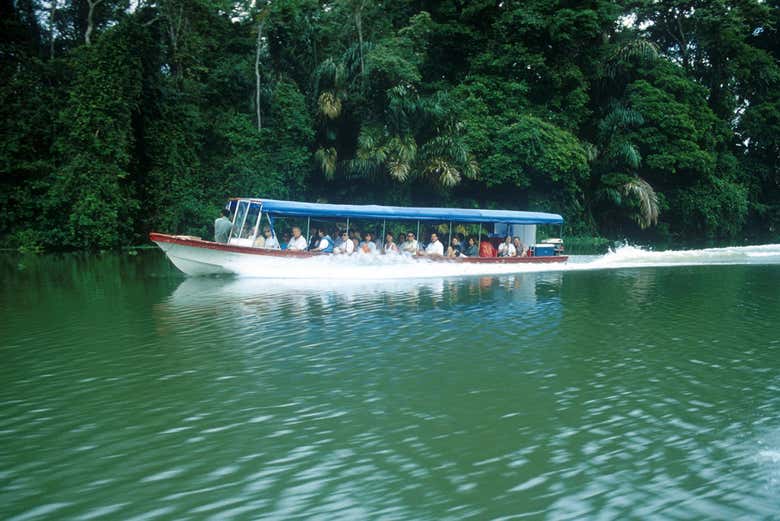 Excursión al Parque Nacional Tortuguero
