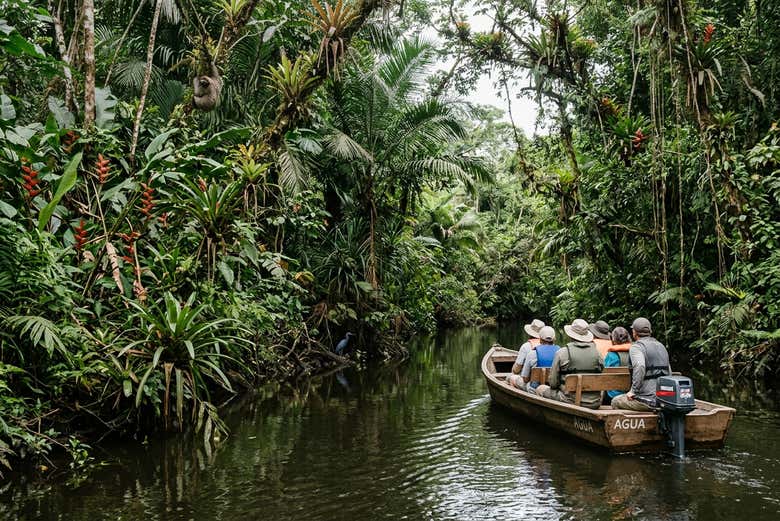 Excursión al Parque Nacional Tortuguero