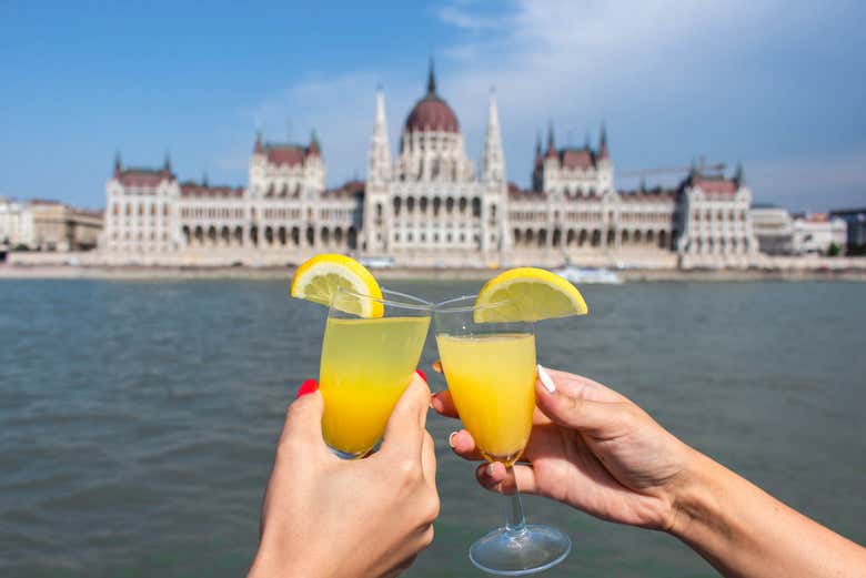 Crucero por el Danubio en Budapest con bebidas