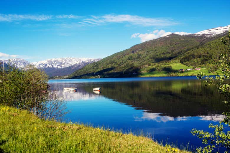 Tour por el fiordo de Nærøy para cruceros