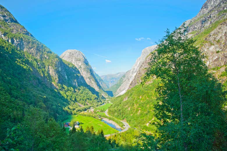 Tour por el fiordo de Nærøy para cruceros