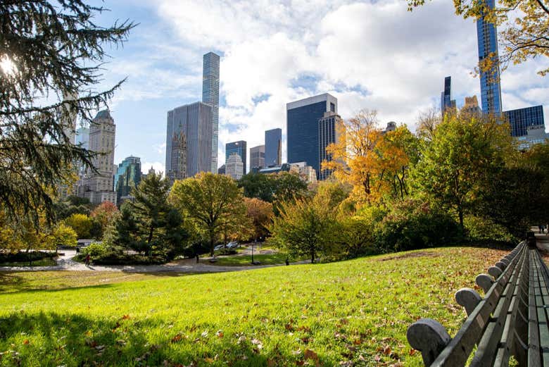 Free tour por Central Park